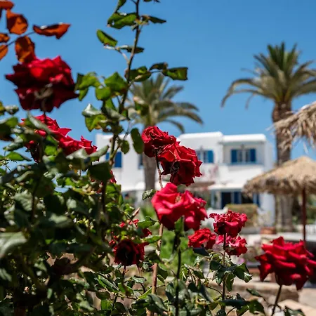 Apart Otel Stella Naxos Island Agia Anna (Naxos)