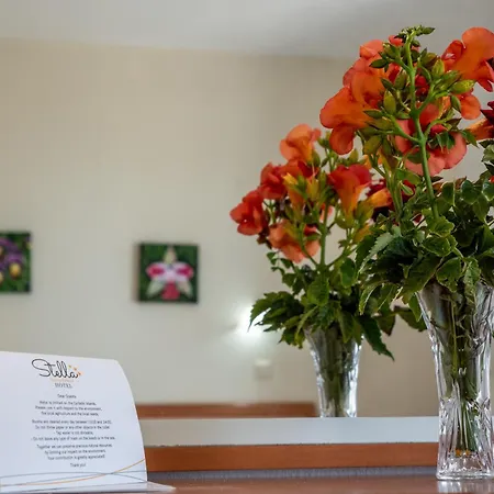 Stella Naxos Island Lejlighedshotel 3*