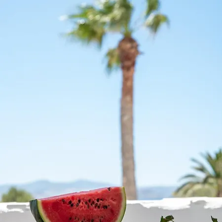 Aparthotel Stella Naxos Island Agia Anna (Naxos)