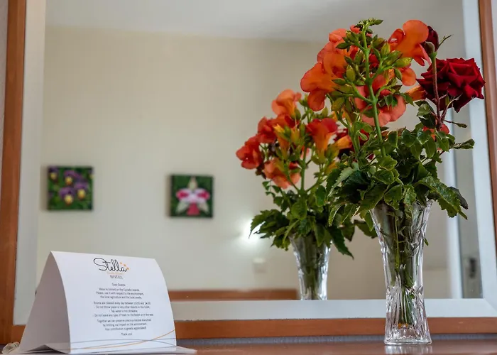 Stella Naxos Island Lejlighedshotel 3*