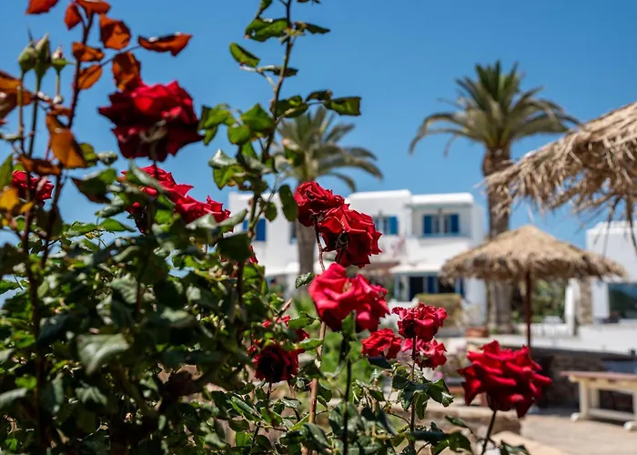 Lejlighedshotel Stella Naxos Island Agia Anna (Naxos)